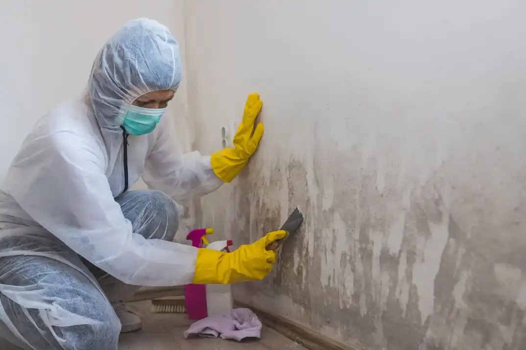 water damage restoration service Galway Park